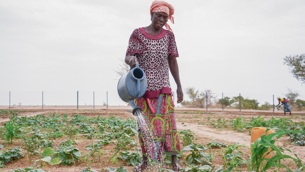 Woman watering market garden in Ogossaye Koro, Mali.