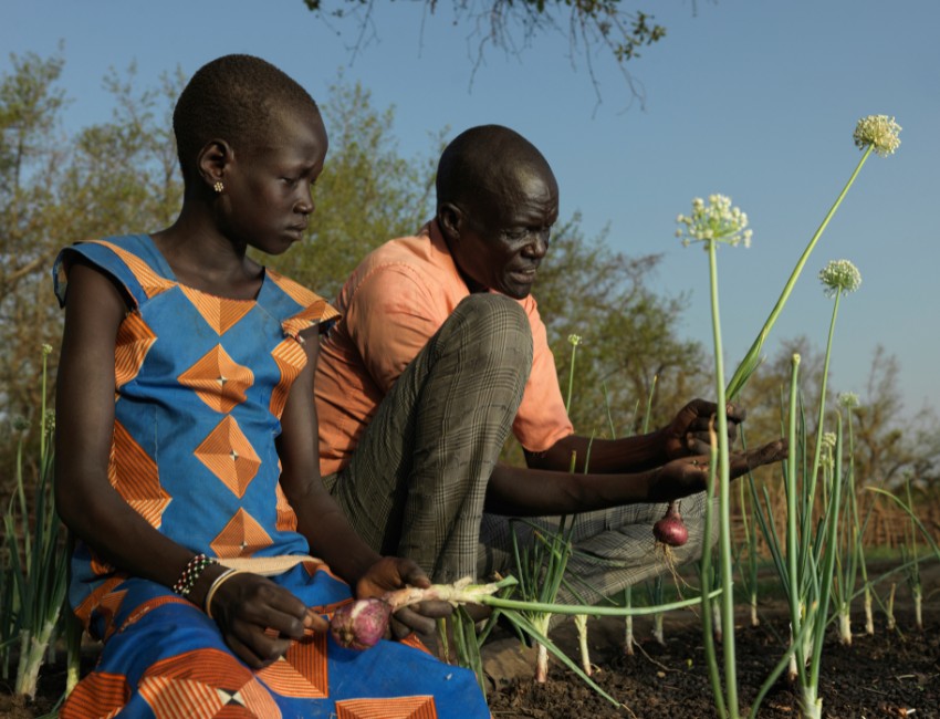 Chan and his daughter tend to onion crops in South Sudan.