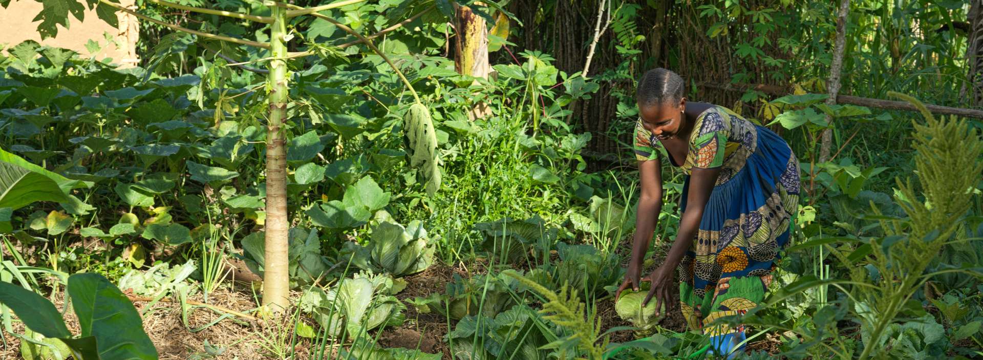 Women in Uganda works on her crops for world hunger solutions.